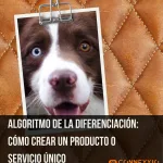 Aprende a crear un diferencial de producto o servicio único. Sal de la guerra de precios con esta conferencia ejecutiva de Luis Alberto Bravo.