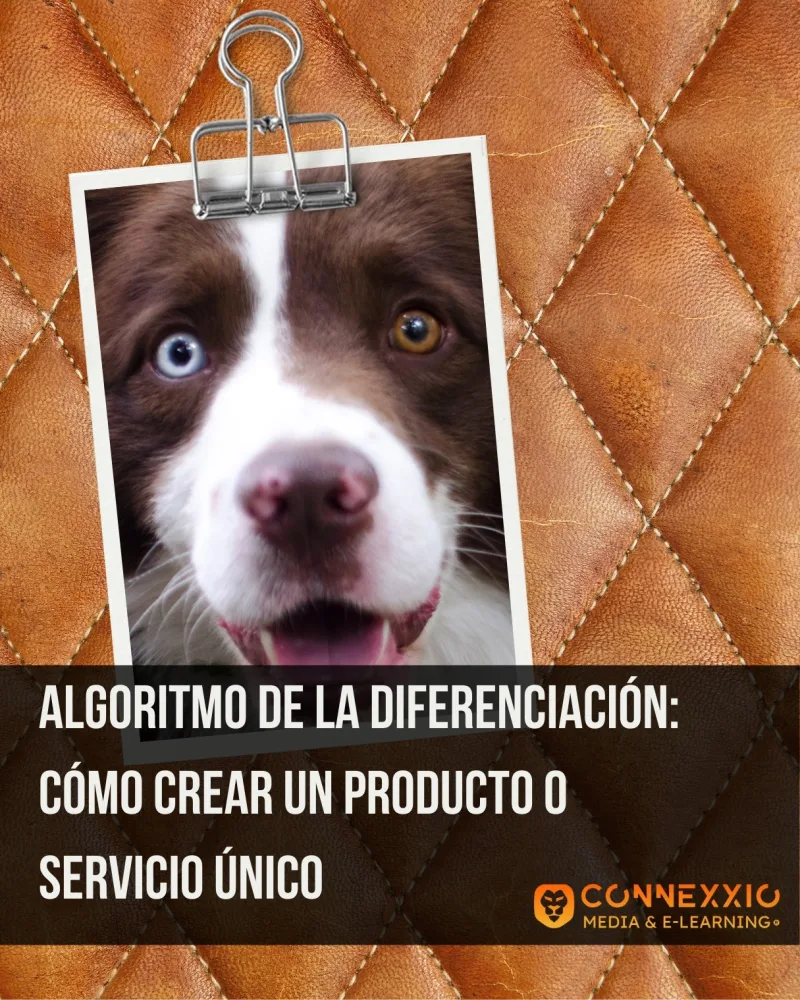 Aprende a crear un diferencial de producto o servicio único. Sal de la guerra de precios con esta conferencia ejecutiva de Luis Alberto Bravo.